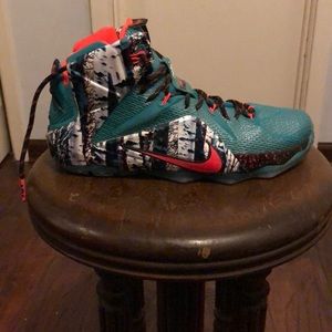 Nike Lebron Akron Birche.   *Size 11*
